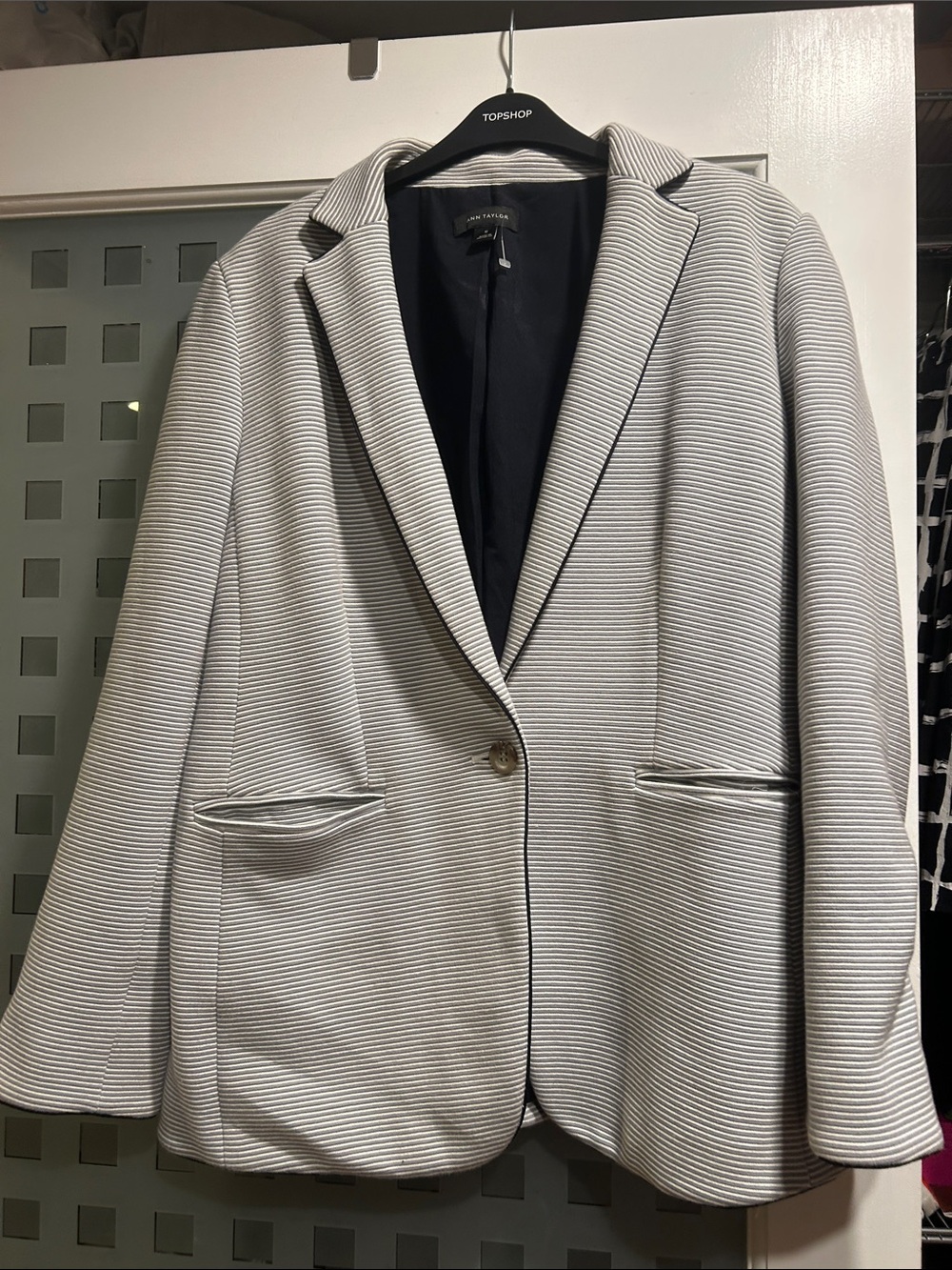 Ann Taylor Light Gray Striped Single-Button Blazer